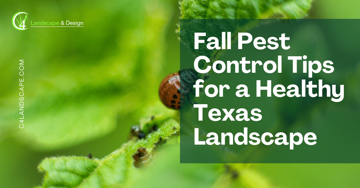 fall pest control tips for a healthy texas landscape