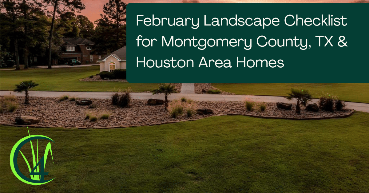 February Landscape Checklist for Montgomery County, TX & Houston Area Homes