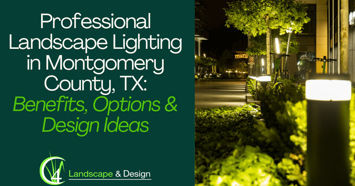 Professional Landscape Lighting in Montgomery County, TX: Benefits, Options & Design Ideas