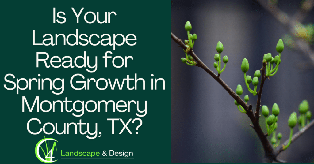 Is Your Landscape Ready for Spring Growth in Montgomery County, TX