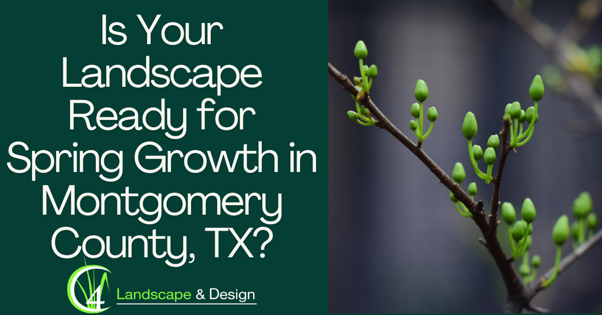 Is Your Landscape Ready for Spring Growth in Montgomery County, TX