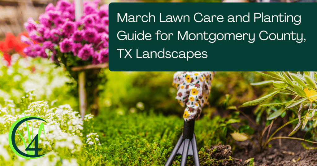 March Lawn Care and Planting Guide for Montgomery County, TX Landscapes