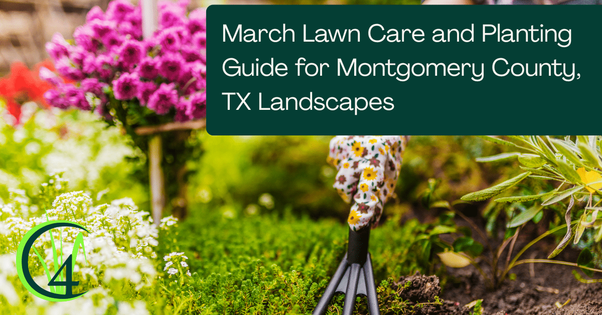 March Lawn Care and Planting Guide for Montgomery County, TX Landscapes
