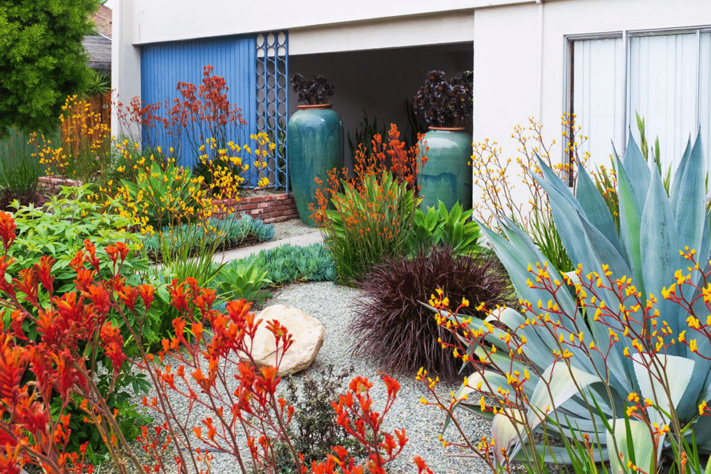 Drought tolerant plants paired with rock landscaping.