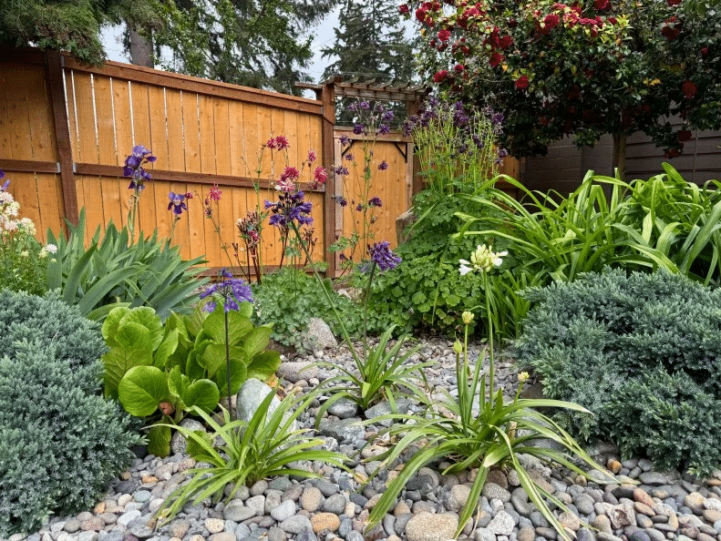 Low maintenance front yard landscaping with rocks