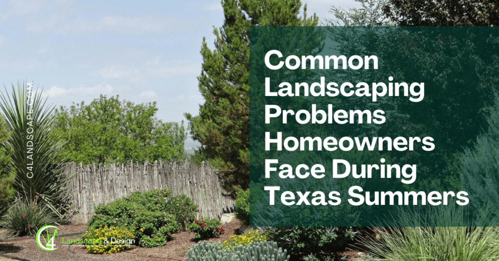 Common Landscaping Problems Homeowners Face During Texas Summers