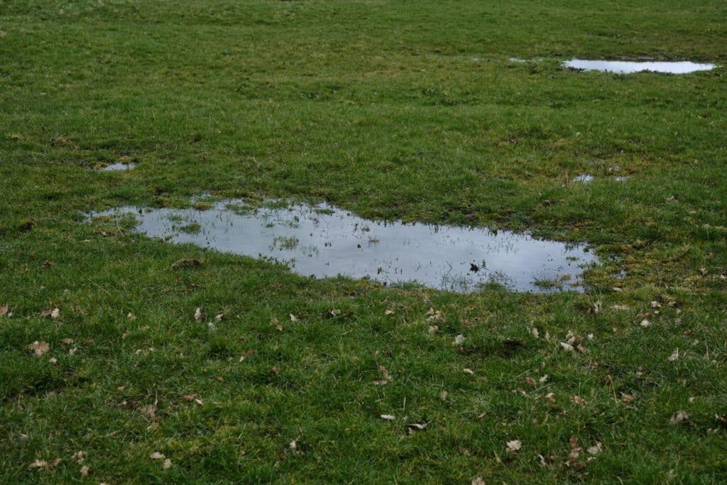 Pooling water can be a common landscaping problem.