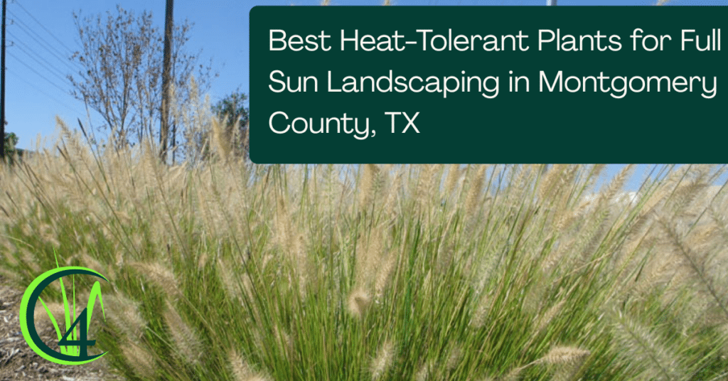 best heat tolerant plants for full sun landscaping in montgomery county, tx