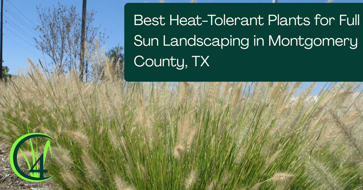 best heat tolerant plants for full sun landscaping in montgomery county, tx